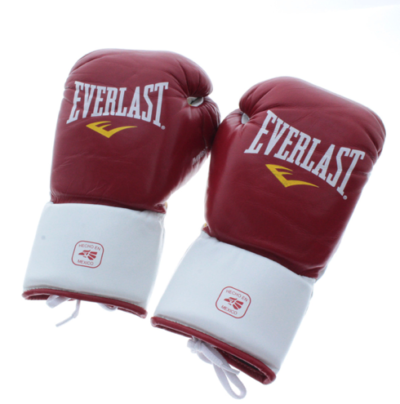 Everlast MX エバーラスト ボクシング グローブ 8oz 8オンス 